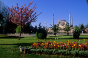 4 - Mosquée bleue à Istanbul